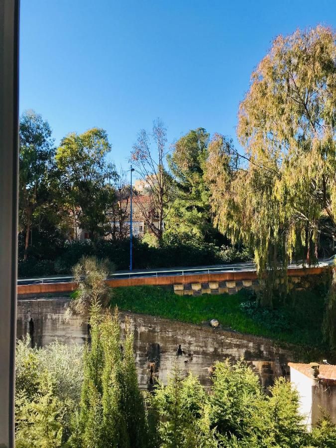 Appartement Paloma Proche Cannes Le Cannet Exterior photo